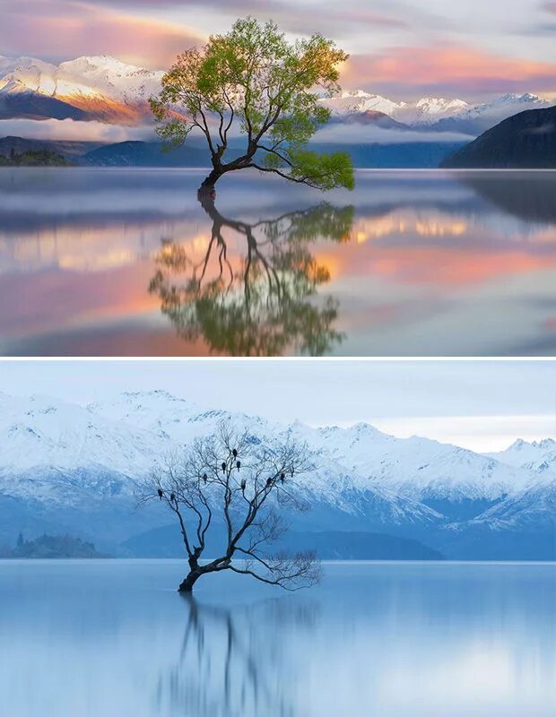 преображенная природа. красивая радуга. преображенная природа. яркая природа. преображенная природа.