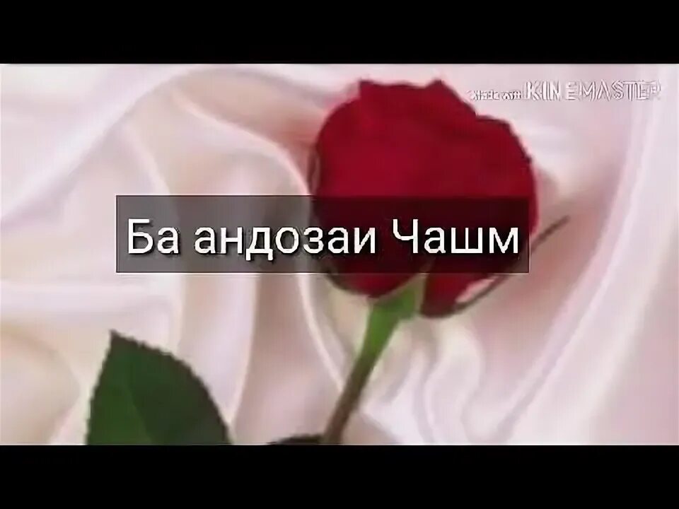 Миллион красных роз. Картинка гул барои зодруз. 1000000 1000000 1000000 алых роз. Гул барои. Гул барои.