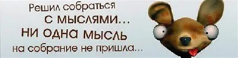 Собраться с мыслями предложения. Решила собраться с мыслями ни одна мысль на собрание не. ни одна мысль на собрание не пришла. соберись тряпка. открытка соберись тряпка.