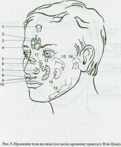 Схема лимфоузлов головы. Лимфоузлы на лице расположение лимфоузлы на лице расположение. Лимфоузлы человека расположение схема на лице и шее. Лимфатические узлы на лице человека схема расположения. Лицевые щечные лимфоузлы.
