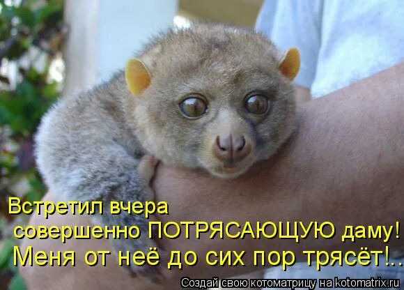 до сих пор лежал до сих пор трясутся руки. до сих пор трясет. красивые девушки трясут. как хорошо было вчера и как плохо сегодня. я в шоке.