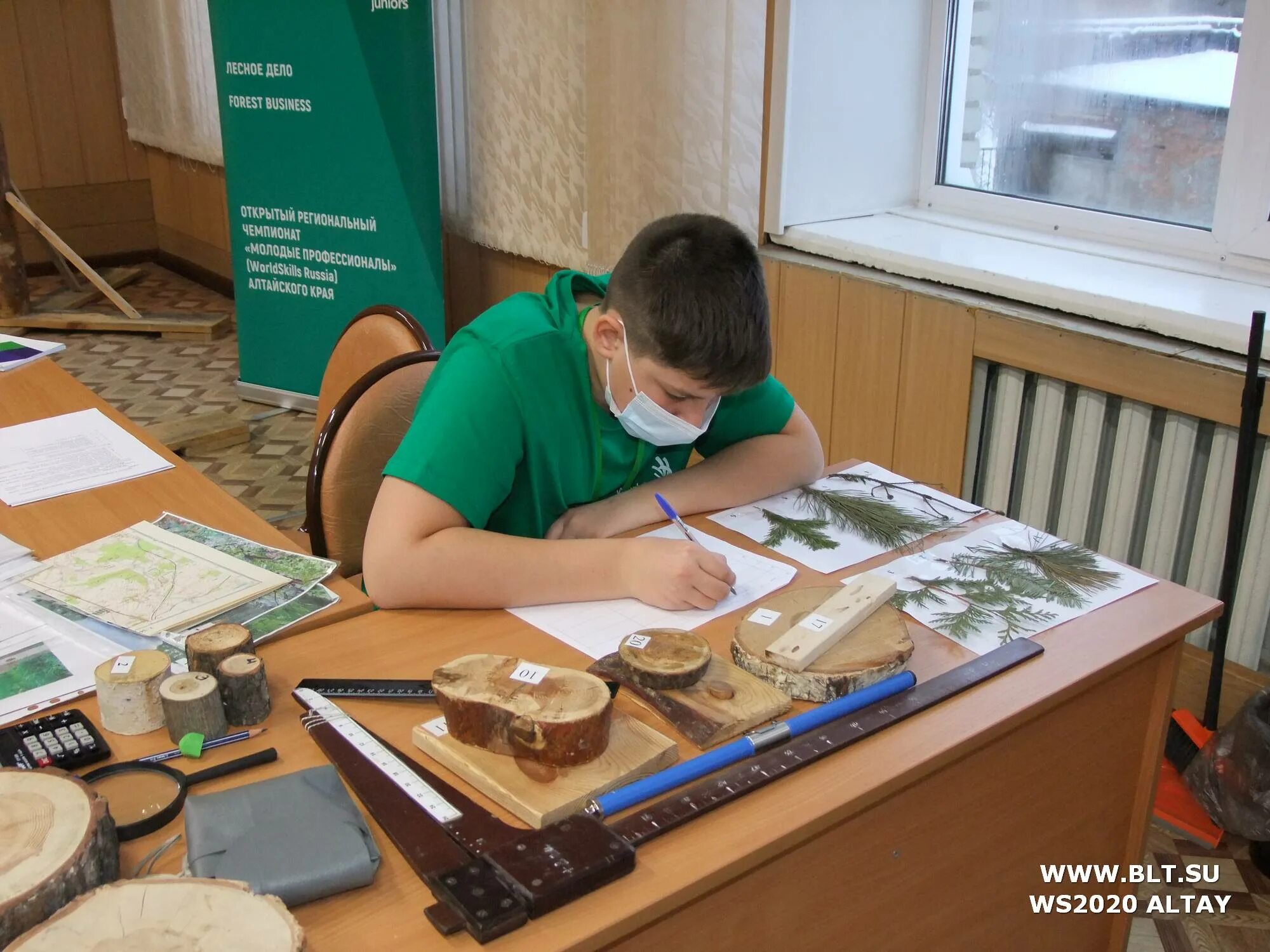Лесное дело специальность. Лесное дело бакалавриат | 35. Лесное дело экзамены. Лесное дело экзамены. Лесное и лесопарковое хозяйство.