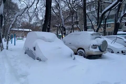 В виду снегопада