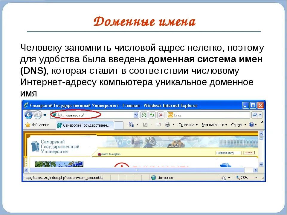 Есть домен и сайт. Доменное имя. доменное имя сайта. как выглядит доменное имя. доменные имена интернета.