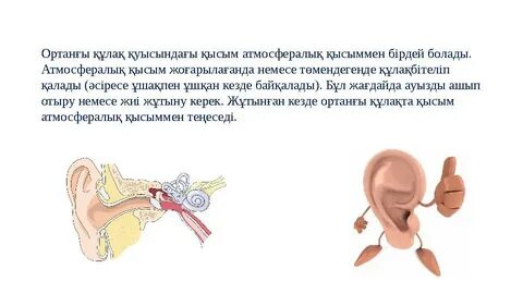 Оргазмы бар жынды қыздармен порно