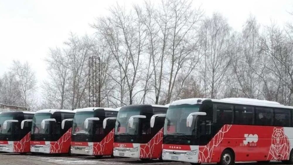 Автобус пермь оса чайковский. С днем автомобилиста. Междугородние автобусы в Турции. ООО дизель автобусы. Пермские автобусы.