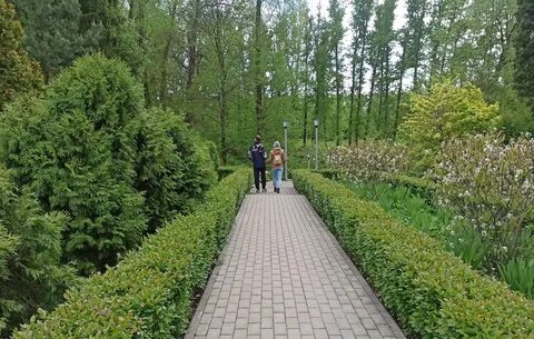 Сады мордовии
