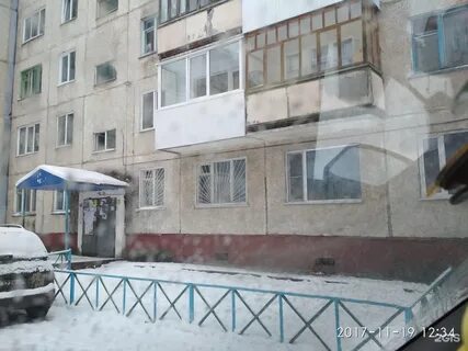Бела куна отзыв