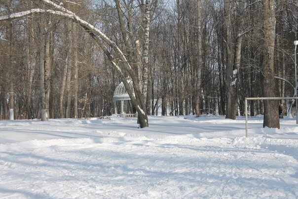 Погода в киреевске томской области. Киреевск весной. Фото Киреевска Тульской области. Киреевск Тульская область фотографии. Роща ветров в Киреевске Тульской области.