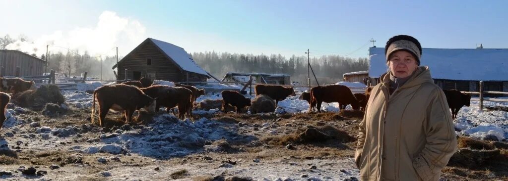 ломки костромская область погода