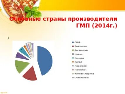 4 главные страны производители