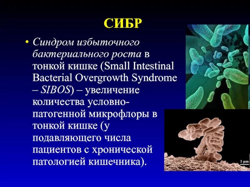 Синдром избыточного бактериального роста в тонкой кишке. Сибр симптомы. Сибр и сигр. Синдром избыточного бактериального роста и дисбактериоз. Патогенез сибр.