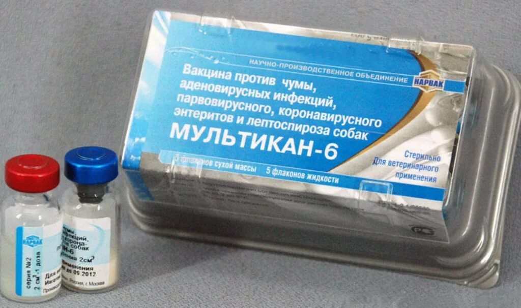 Мультикан 4 5доз уп для собак. Мультикан-8, вакцина для собак. мультикан-6 вакцина для собак. вакцина против бешенства для собак мультикан 8. мультикан-4 вакцина для собак.