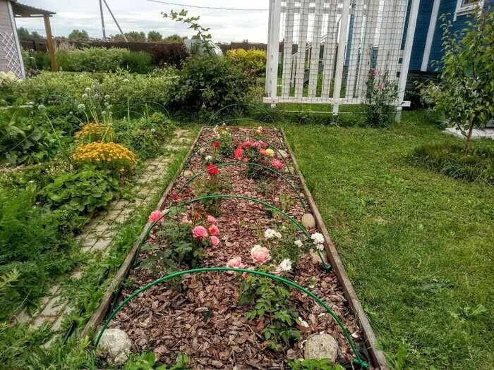 Похожее изображение Garden archway, Garden, St albans