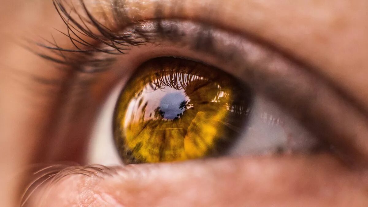 Цвет глаз человека определяется пигментацией. Янтарные глаза. Янтарный цвет глаз. Желто карие глаза. Желтые глаза.