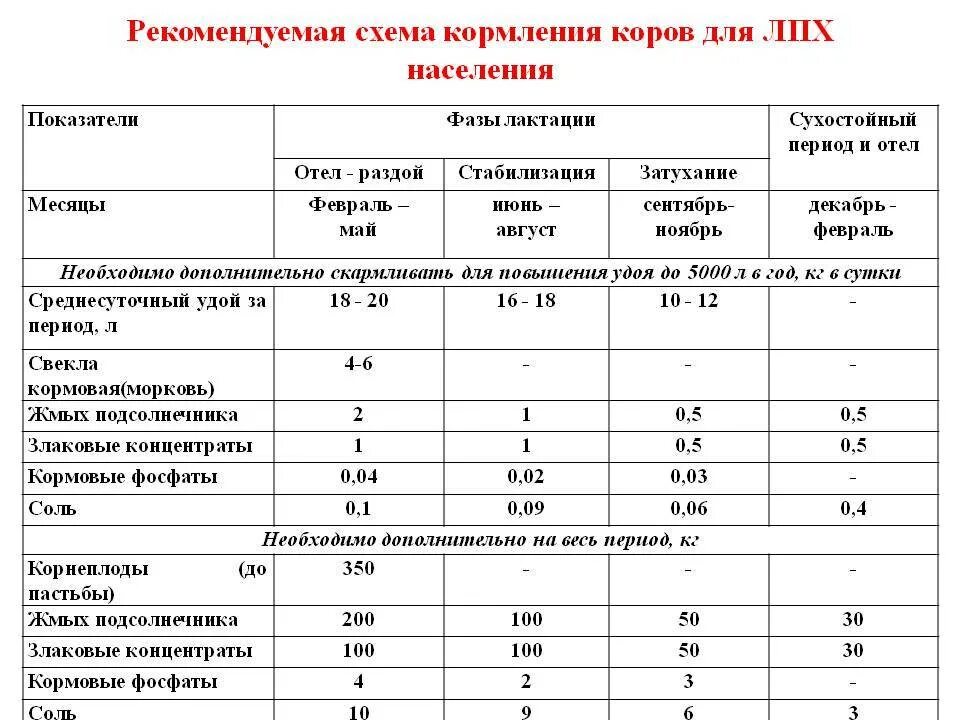 Сколько раз поить теленка. Схема кормления крупного рогатого скота коров дойных. Рацион кормления сухостойных коров. Рацион кормления по лактации коров. Рацион кормления для сухостойных коров для ЛПХ.