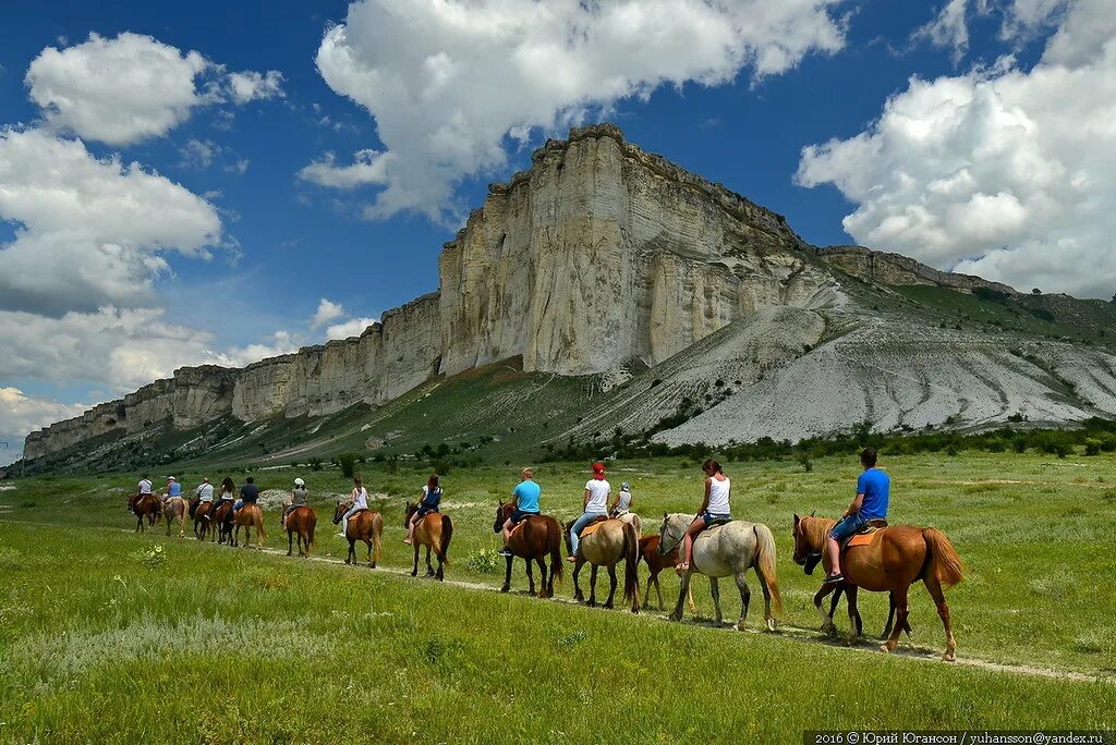 Крымские лошадки. Белогорск конные прогулки белая скала. Белые скалы Белогорск лошади. Белая скала Крым перегон лошадей. Белая скала Крым.