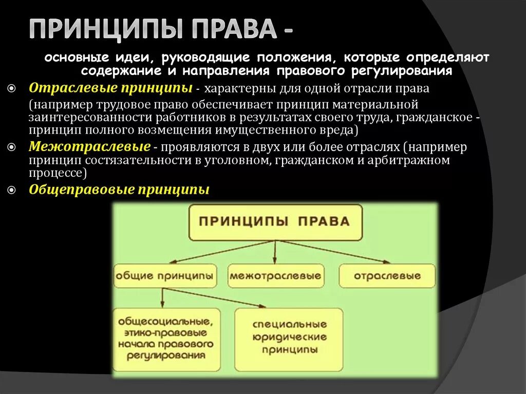 Какие общеправовые принципы