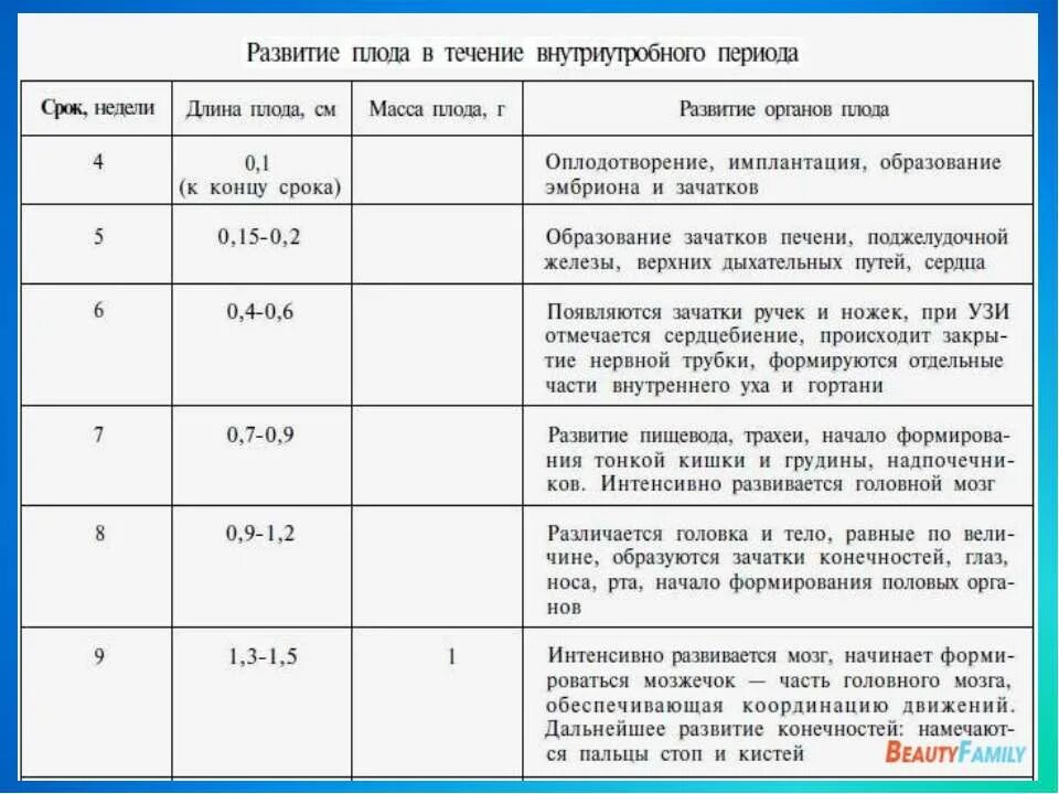 Периоды внутриутробного развития плода сроки. Схема периодов внутриутробного развития плода. Развитие плода ребенка таблица. Периоды развития плода по неделям таблица. Беременность и роды 8 класс