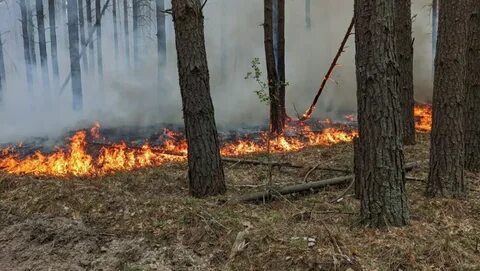 Пожары хмао