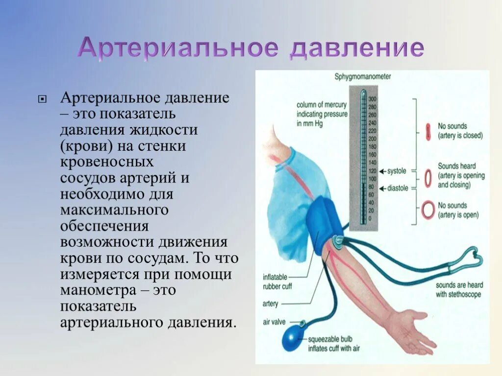 Артириально ЕДАВЛЕНИЕ. Arterialnaya davleniya. Артериальное кровяное давление. Измерение давления крови.