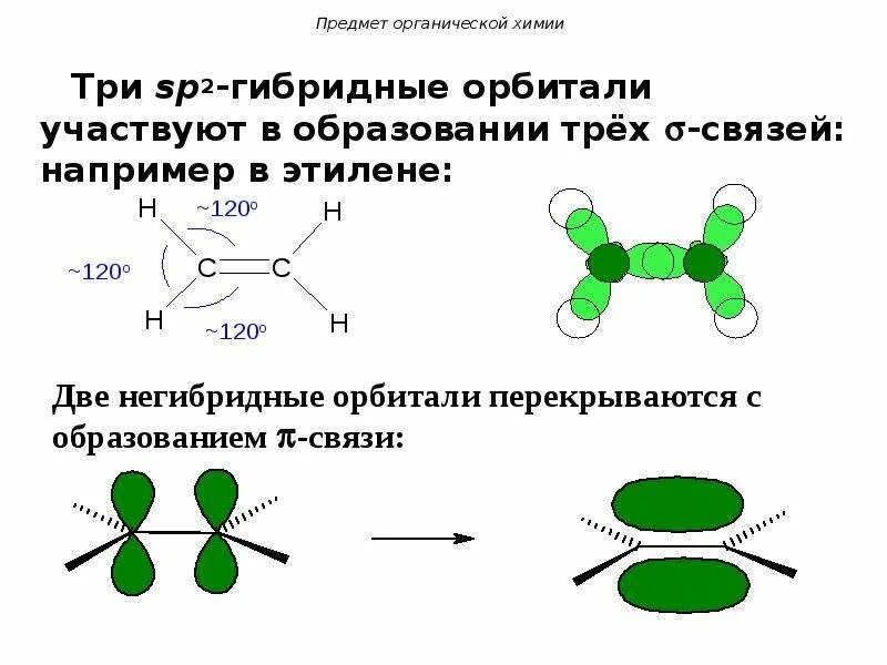 Гибридизация SP sp2 sp3 Сигма связи. Sp2-гибридные этилена. В образовании Сигма связи участвуют два гибридных. Гибридные и негибридные орбитали. Сигма соединение