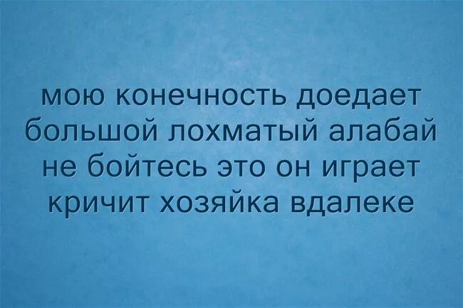 Жил на свете ничего. На свете нет ничего невозможного. На свете неттничего невозможного. Мою конечность доедает большой лохматый алабай. Нет ничего невозможного для человека.