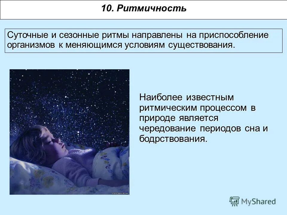 приспособительные ритмы жизни растений. суточные и сезонные ритмы. сезонные биоритмы природы. суточные ритмы растений примеры. биологические ритмы суточная и сезоннаые.