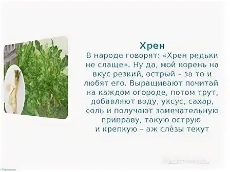 Хрена говорить