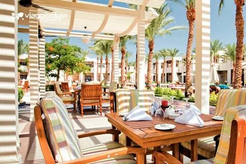 Reef oasis senses 5