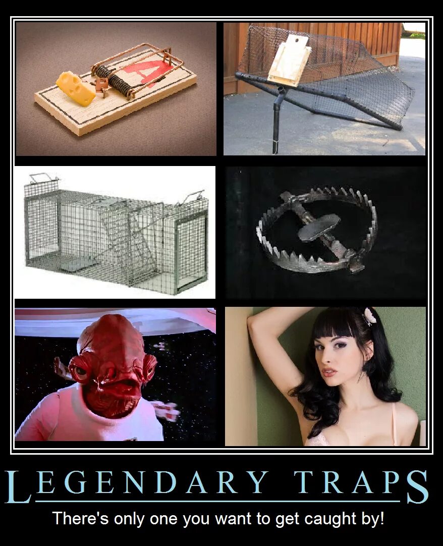 Catch trap