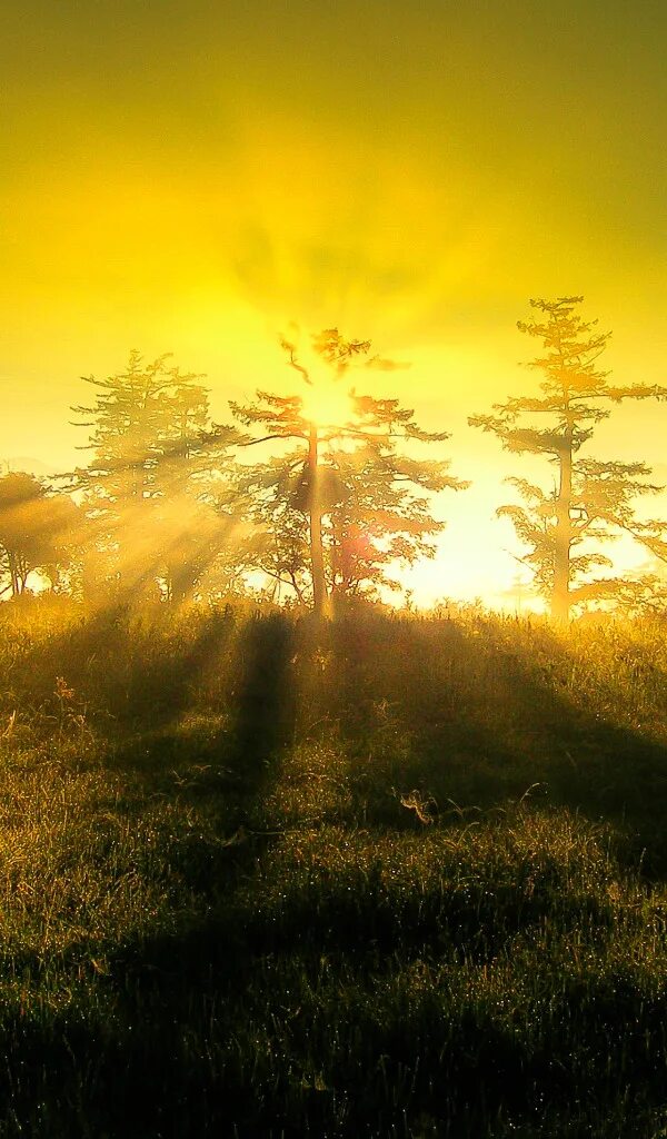 Sun light 1