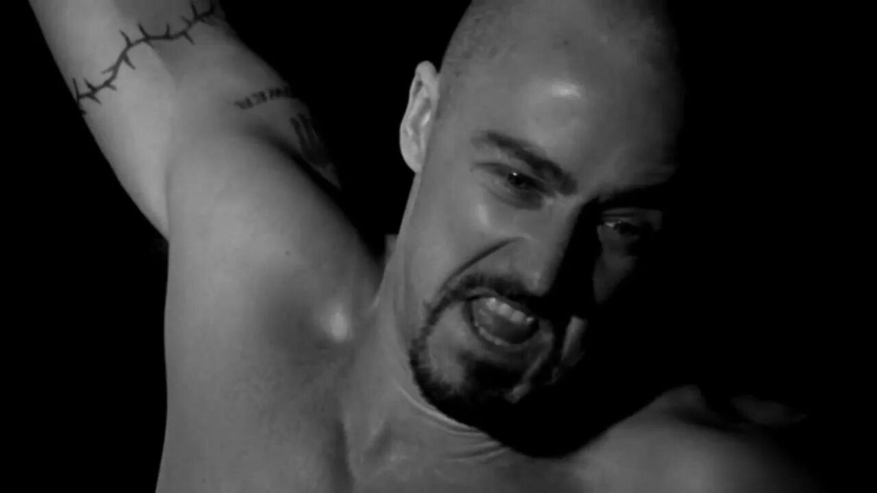 History x reader