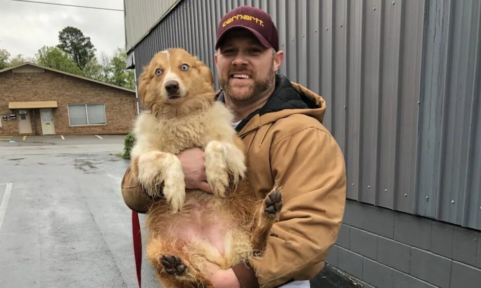 Через 54. Gign штурм самолета. Люди собаки в америке. Т-54 средний танк. Танк т-54 wot.