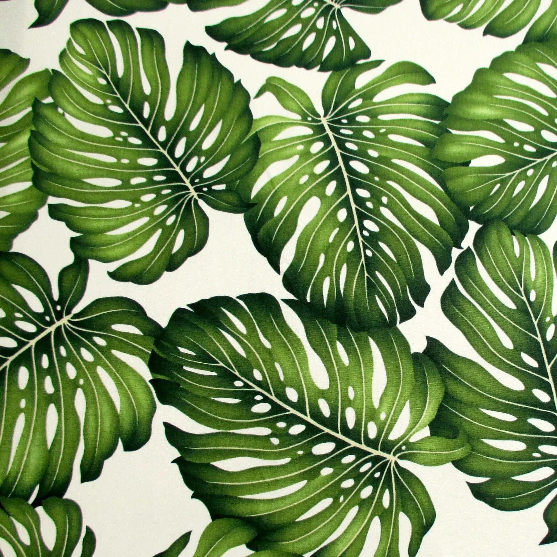 Leaf flower curl