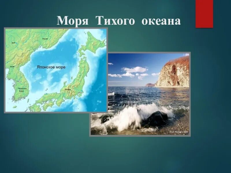 Тихий океан перечислить моря. Моря Тихого океана. Моря Тихого океана моря Тихого океана. Моря которые принадлежат тихому океану. Моря Северного Тихого океана.