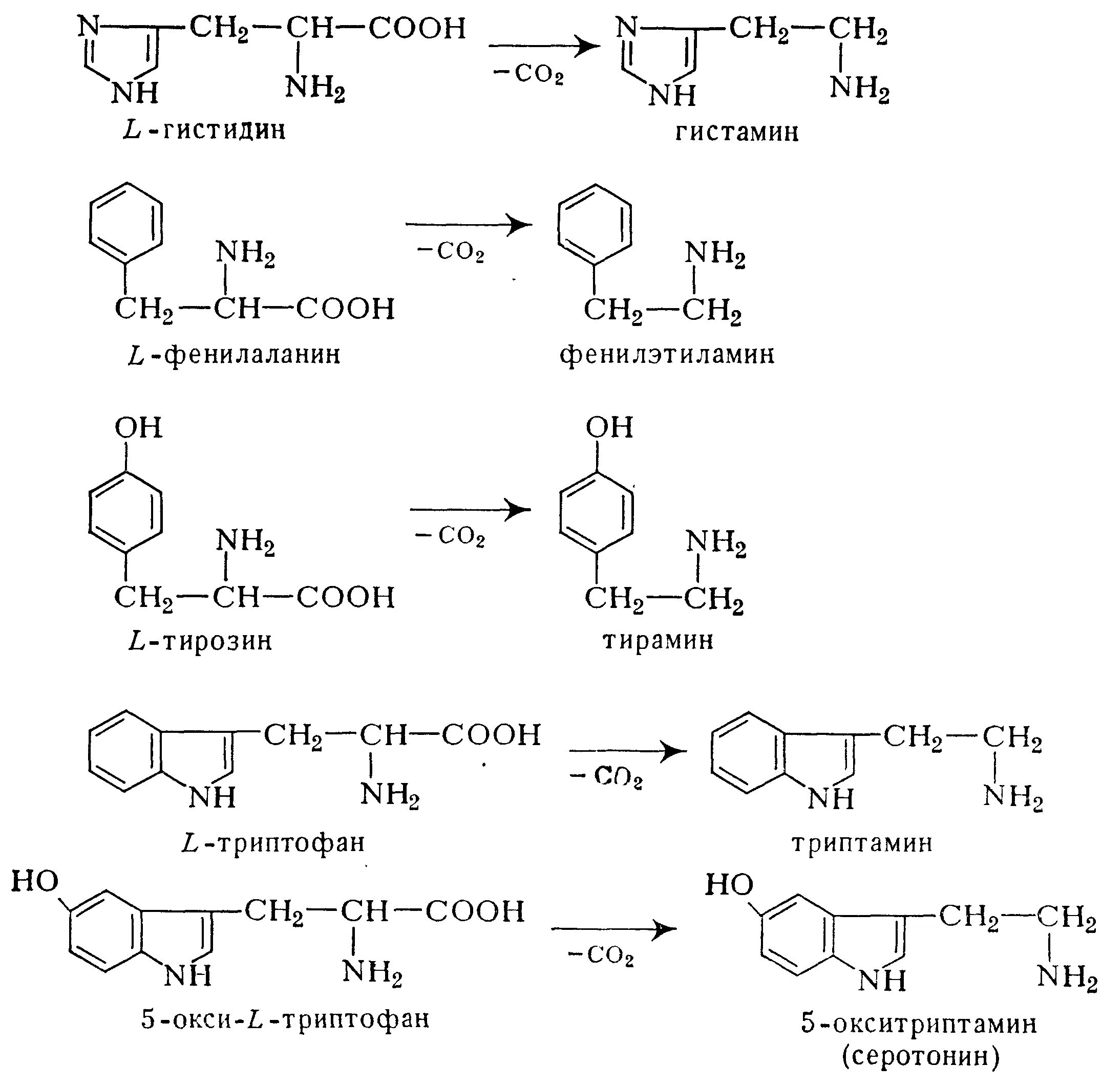 Декарбоксилирование фенилаланина реакция. Схемы реакций декарбоксилирования аминокислот. Декарбоксилирования аминокислоты тирозина. Реакция декарбоксилирования аминокислот. Декарбоксилирование аминокислот реакция
