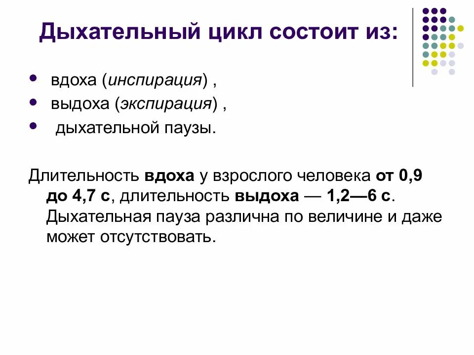 Цикл вдоха выдоха. Фазы дыхательного цикла схема. механизм формирования дыхательного цикла. фазы дыхательного цикла человека. перечислите фазы дыхательного цикла:.