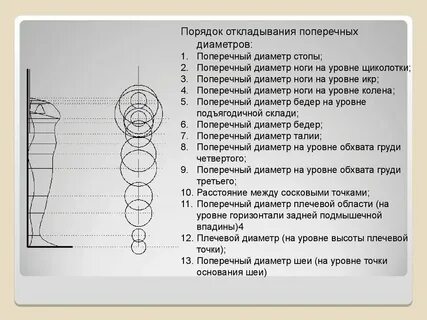 Наибольший поперечный диаметр