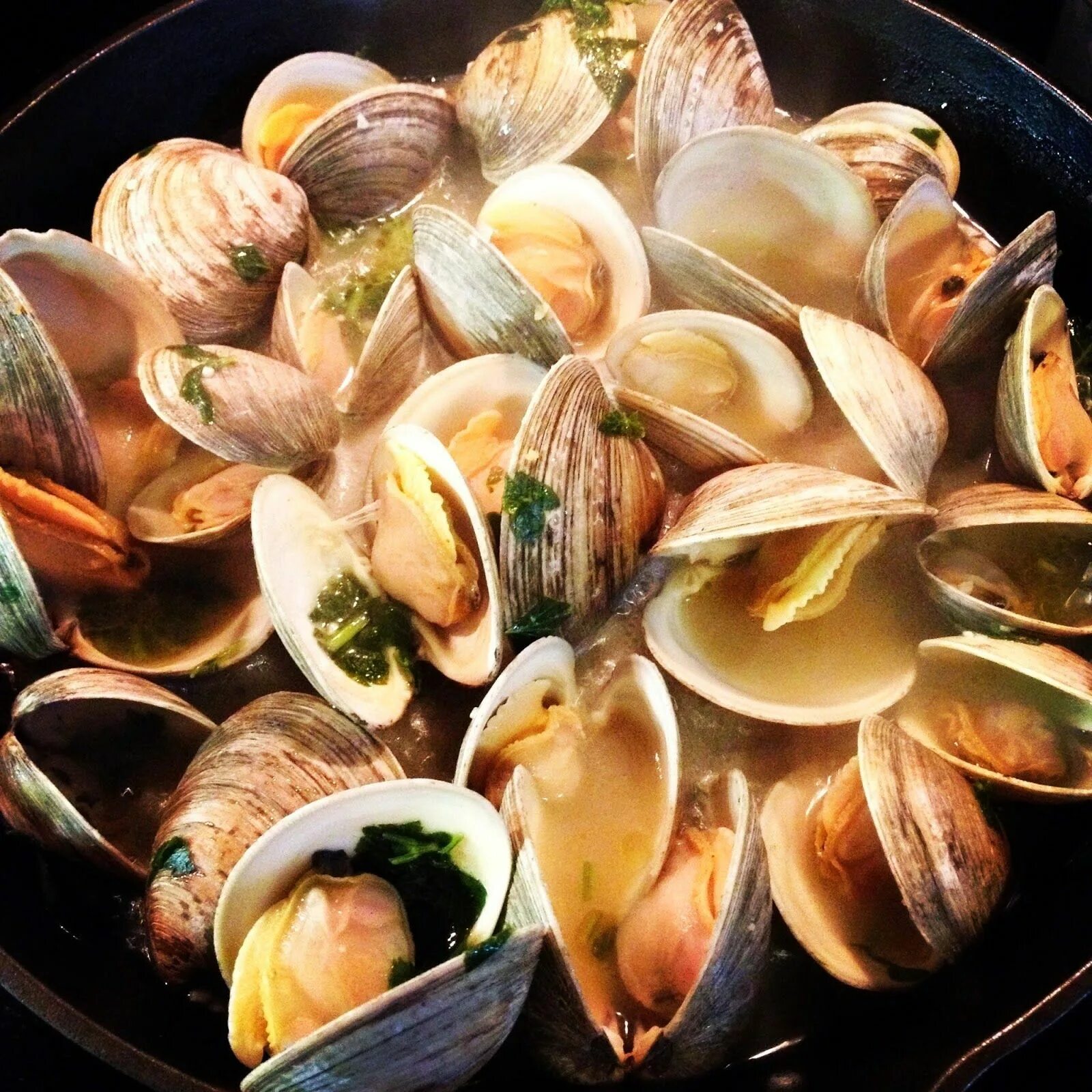 Мидии неочищенные. Морские мидии. мидия моллюск. корейская мидия. мидии clams.