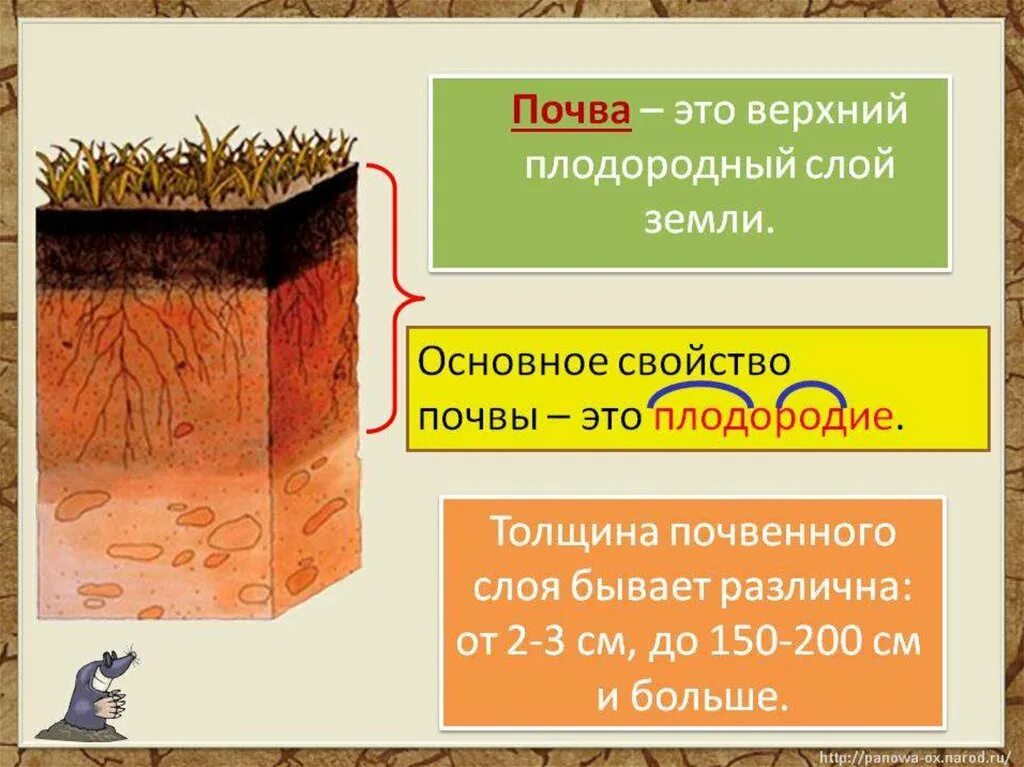 Плодородный слой почвы. Верхний плодородный слой почвы. Почва это верхний плодородный слой земли. Слои почвы. Какая почва менее плодородна