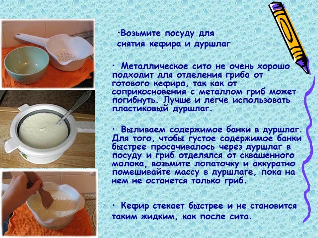 Молочный гриб как ухаживать и употреблять. Молочный гриб как ухаживать и употреблять