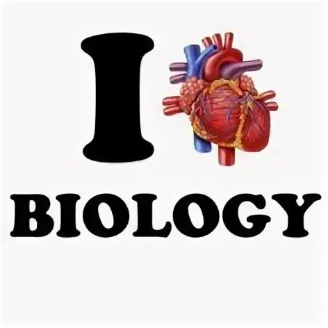 Grade biology