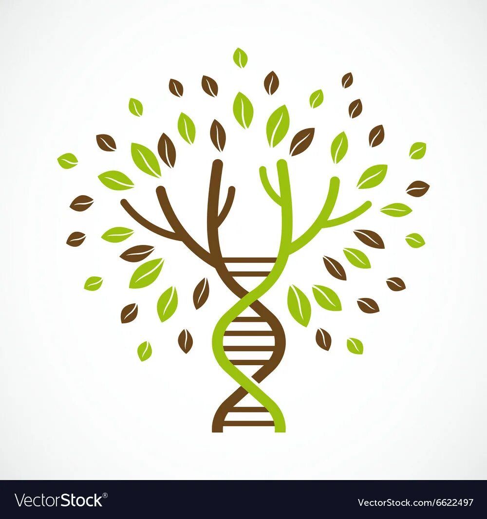 Генетика деревьев. ДНК дерево вектор. Логотип дерево ДНК. Дерево иконка. Листочки дерева иконка.