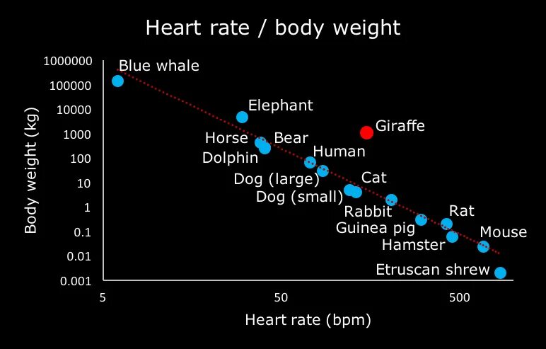 % жира в организме. Bmi индекс массы тела. Процент жира в теле. Body fat control таблетки. Net body fat.