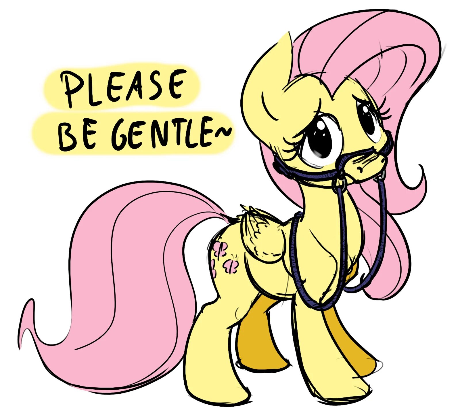 Please be gentle. Please be gentler.