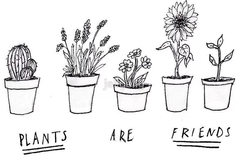 Plants and friends. Растение в горшке рисунок. Растение в горшке Графика. Тату Кактус эскизы. Plants are friends.