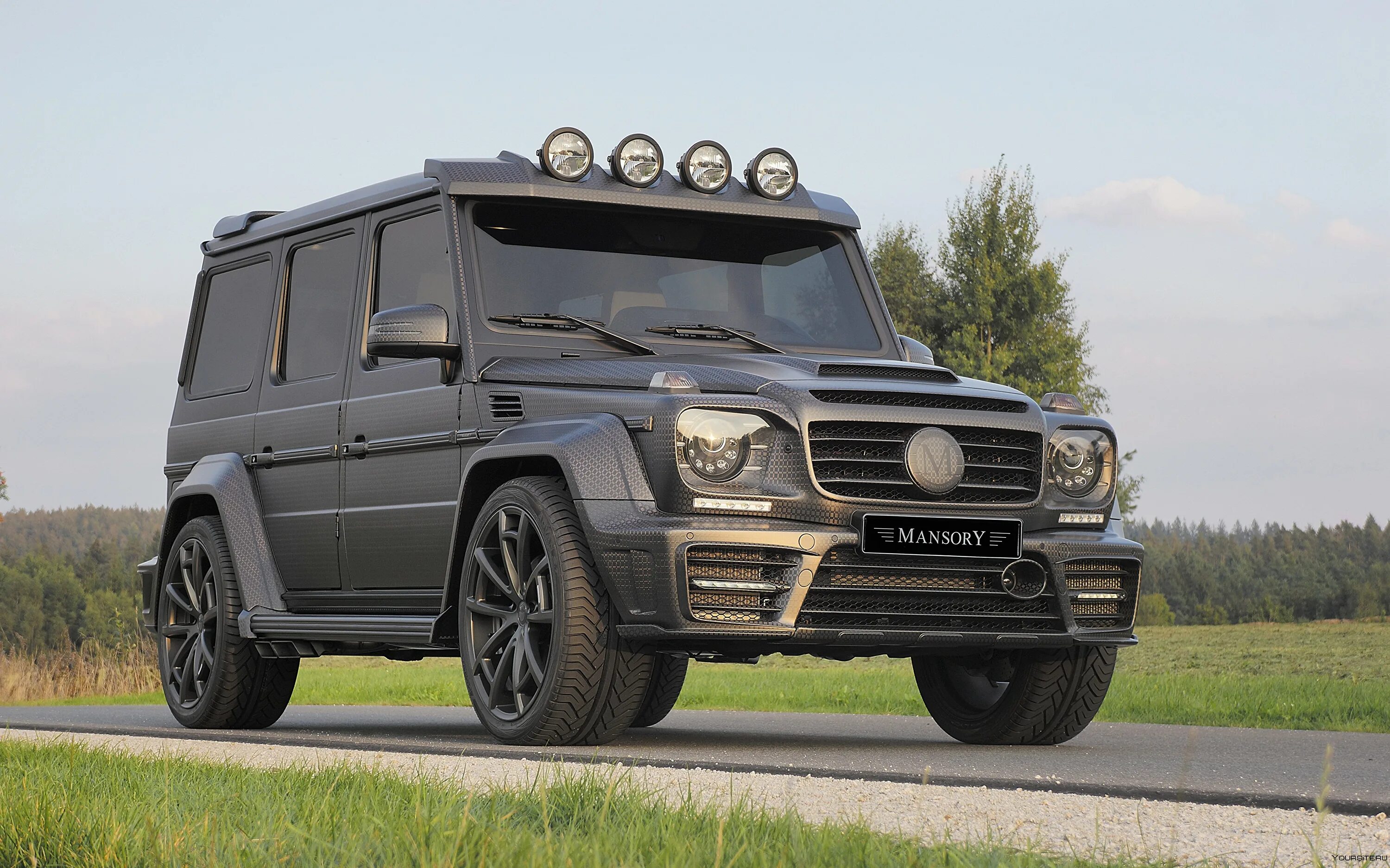 Виды геликов. Mercedes Benz g63 Mansory. Мерседес g63 AMG Mansory gronos. Мерседес Гелендваген мансори. Mercedes Benz g65 AMG.