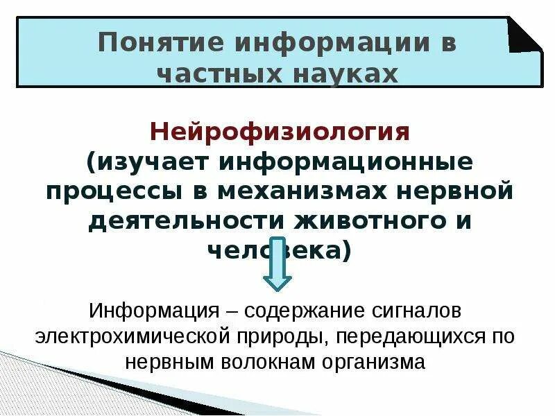 Содержание информации управления. Понятие информации. Понятие информации в науках. Понятие информации и ее основные положения.. Понятие информации в информатике.