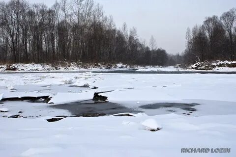 Погода осиновое плесо